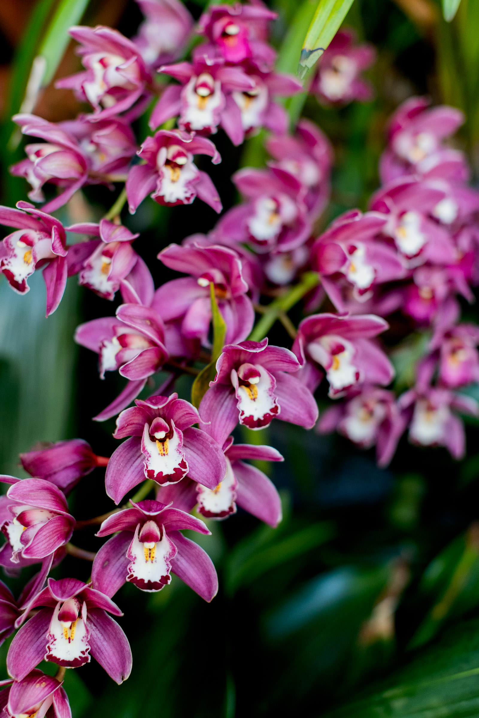 flora_2021_10