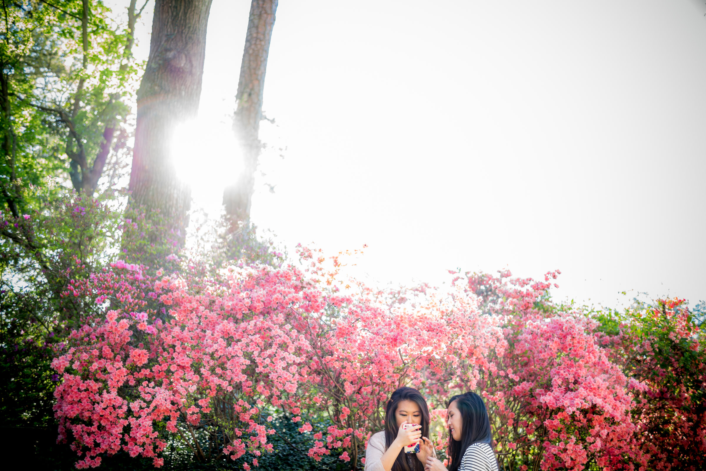 flora_2021_34